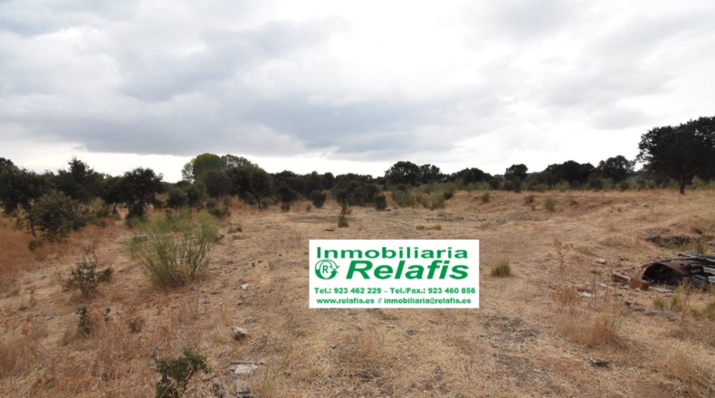 Salamanca - Ivanrey - 32239m2