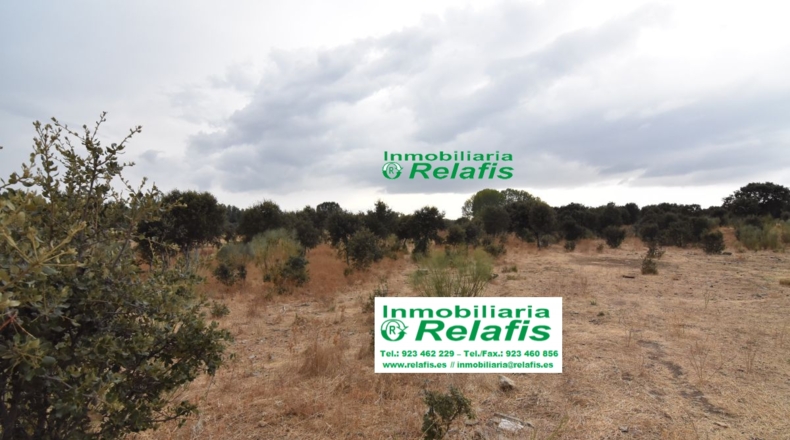 Salamanca - Ivanrey - 32239m2