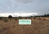 Finca rústica en venda a Ciudad Rodrigo ref.: TR188043 foto