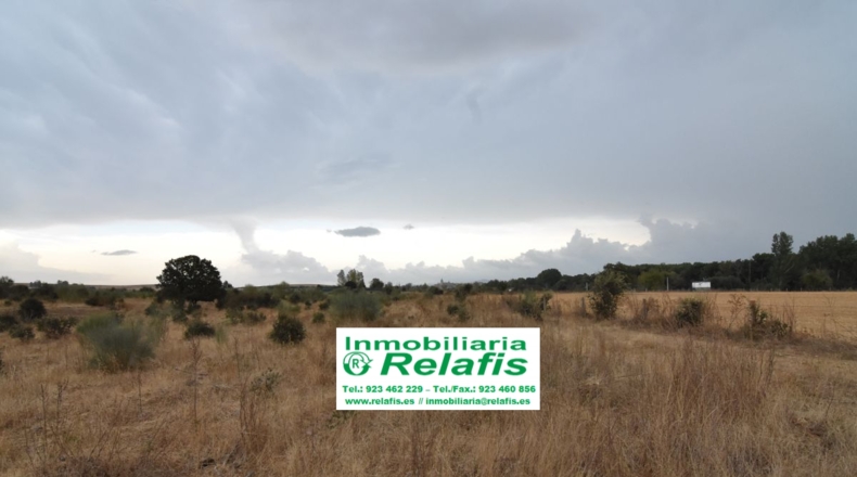 Salamanca - Ivanrey - 32239m2