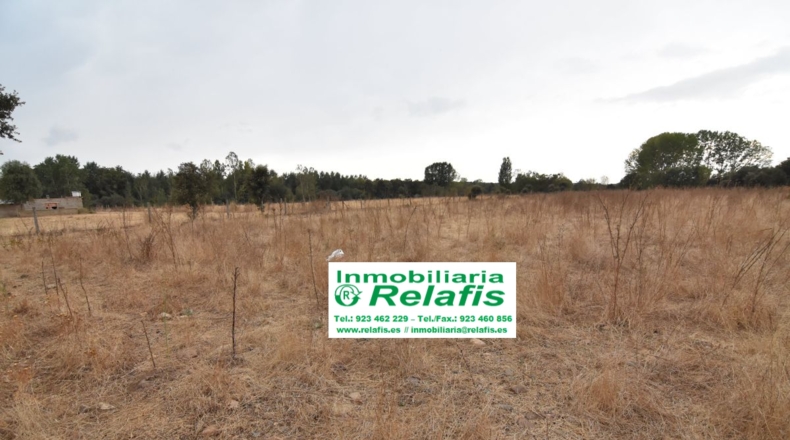 Salamanca - Ivanrey - 32239m2