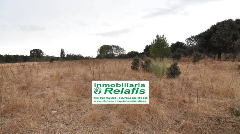 Salamanca - Ivanrey - 32239m2