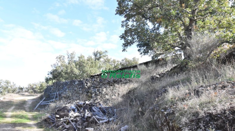 Salamanca - Fuenteguinaldo - 540000m2