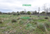 Finca rústica en venda a la España, Ciudad Rodrigo, ref.: TR80732 foto