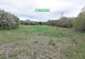 Finca rústica en venda a la España, Ciudad Rodrigo, ref.: TR80732 foto