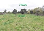 Finca rústica en venda a la España, Ciudad Rodrigo, ref.: TR80732 foto