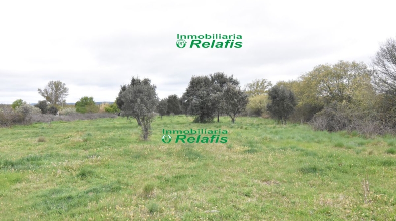 Salamanca - Ivanrey - 12690m2