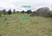 Finca rústica en venda a la España, Ciudad Rodrigo, ref.: TR80732 foto