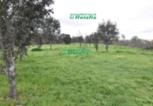 Finca rústica en venda a la España, Ciudad Rodrigo, ref.: TR80732 foto