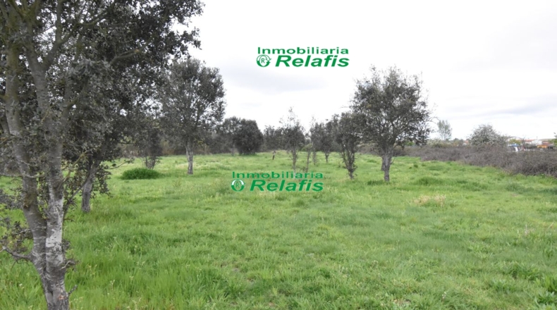 Salamanca - Ivanrey - 12690m2