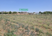 Finca rústica en venda a la España, Ciudad Rodrigo, ref.: TR186454 foto