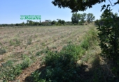 Finca rústica en venda a la España, Ciudad Rodrigo, ref.: TR186454 foto