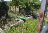 Finca rústica en venda a la España, Ciudad Rodrigo, ref.: TR186454 foto
