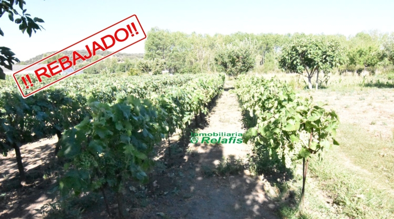Salamanca - Ciudad Rodrigo - 3167m2