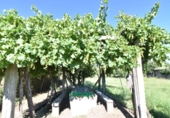 Finca rústica en venda a la España, Ciudad Rodrigo, ref.: TR274656 foto