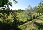 Finca rústica en venda a la España, Ciudad Rodrigo, ref.: TR274656 foto