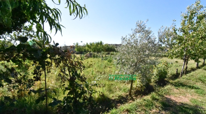 Salamanca - Ciudad Rodrigo - 3167m2