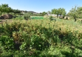 Finca rústica en venda a la España, Ciudad Rodrigo, ref.: TR274656 foto