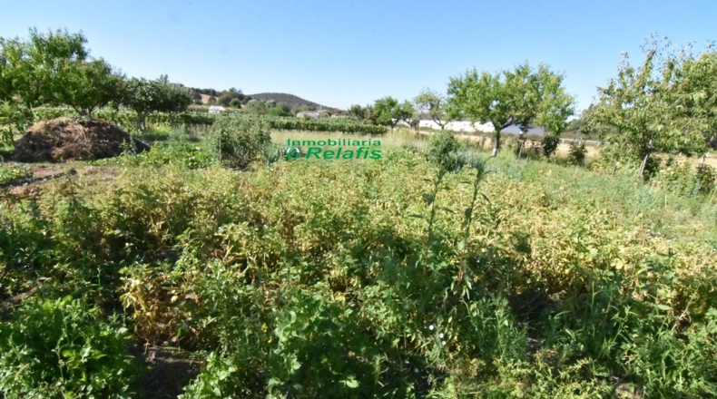 Salamanca - Ciudad Rodrigo - 3167m2