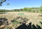 Finca rústica en venda a la España, Ciudad Rodrigo, ref.: TR274656 foto