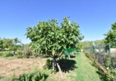 Finca rústica en venda a la España, Ciudad Rodrigo, ref.: TR274656 foto