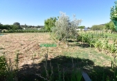 Finca rústica en venda a la España, Ciudad Rodrigo, ref.: TR274656 foto