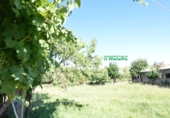 Finca rústica en venda a la España, Ciudad Rodrigo, ref.: TR274656 foto
