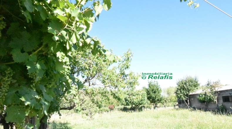 Salamanca - Ciudad Rodrigo - 3167m2