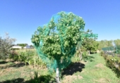 Finca rústica en venda a la España, Ciudad Rodrigo, ref.: TR274656 foto