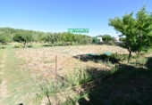 Finca rústica en venda a la España, Ciudad Rodrigo, ref.: TR274656 foto