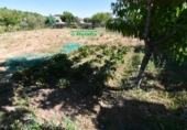 Finca rústica en venda a la España, Ciudad Rodrigo, ref.: TR274656 foto