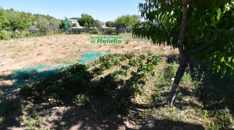 Salamanca - Ciudad Rodrigo - 3167m2