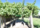 Finca rústica en venda a la España, Ciudad Rodrigo, ref.: TR274656 foto