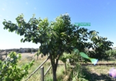 Finca rústica en venda a la España, Ciudad Rodrigo, ref.: TR274656 foto