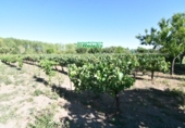 Finca rústica en venda a la España, Ciudad Rodrigo, ref.: TR274656 foto
