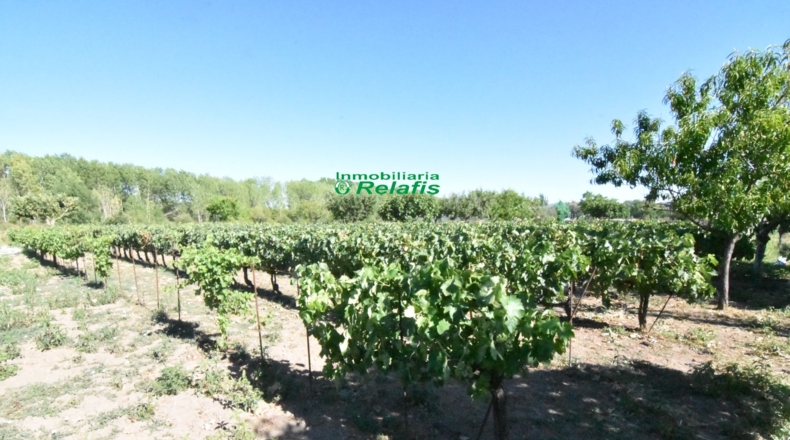 Salamanca - Ciudad Rodrigo - 3167m2