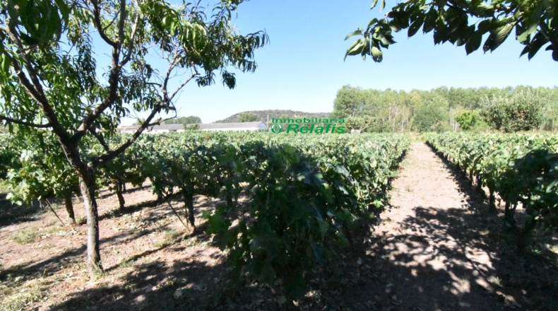 Salamanca - Ciudad Rodrigo - 3167m2