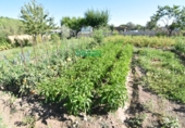 Finca rústica en venda a la España, Ciudad Rodrigo, ref.: TR274656 foto