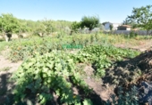 Finca rústica en venda a la España, Ciudad Rodrigo, ref.: TR274656 foto
