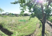 Finca rústica en venda a la España, Ciudad Rodrigo, ref.: TR274656 foto