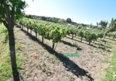 Finca rústica en venda a la España, Ciudad Rodrigo, ref.: TR274656 foto