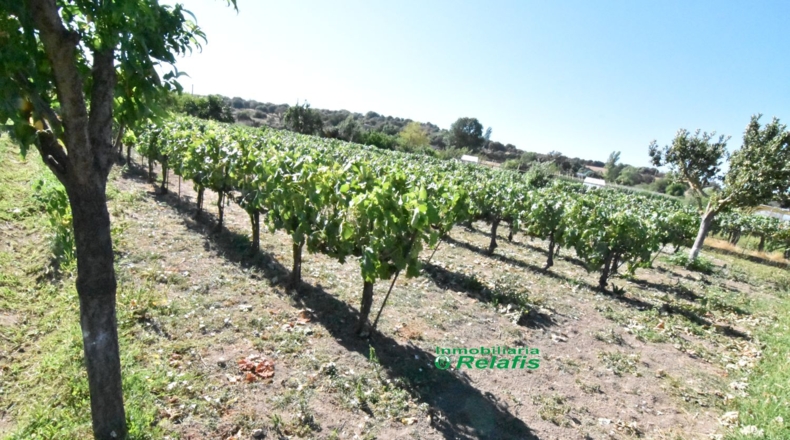 Salamanca - Ciudad Rodrigo - 3167m2