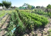 Finca rústica en venda a la España, Ciudad Rodrigo, ref.: TR274656 foto