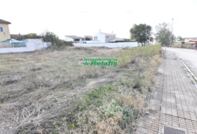 Ciudad Rodrigo 295&nbsp;m² 