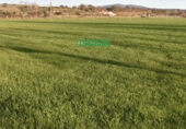 Finca rústica en venda a Ciudad Rodrigo ref.: TR186452 foto