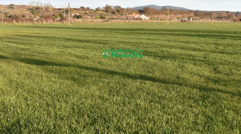 Salamanca - Sanjuanejo - 40878m2