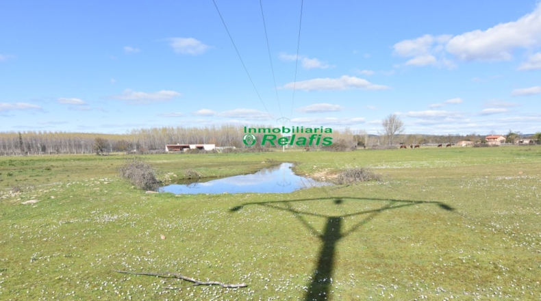 Salamanca - Ciudad Rodrigo - 39000m2