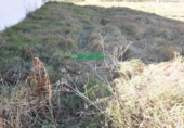 Sòl urbà en venda a la España, Ciudad Rodrigo, ref.: TR73363 foto