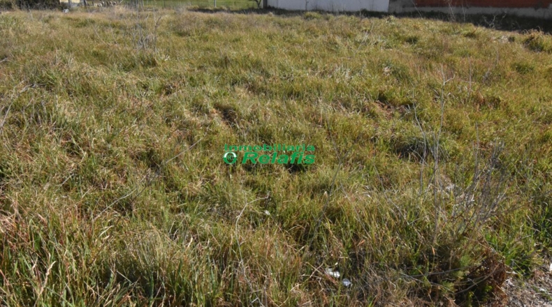 Salamanca - Ivanrey - 360m2