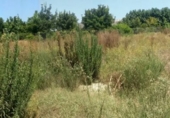 Rural estate for sale in Sueca ref: TR100787 photo